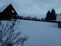 20260215_073724 (1024x768).jpg